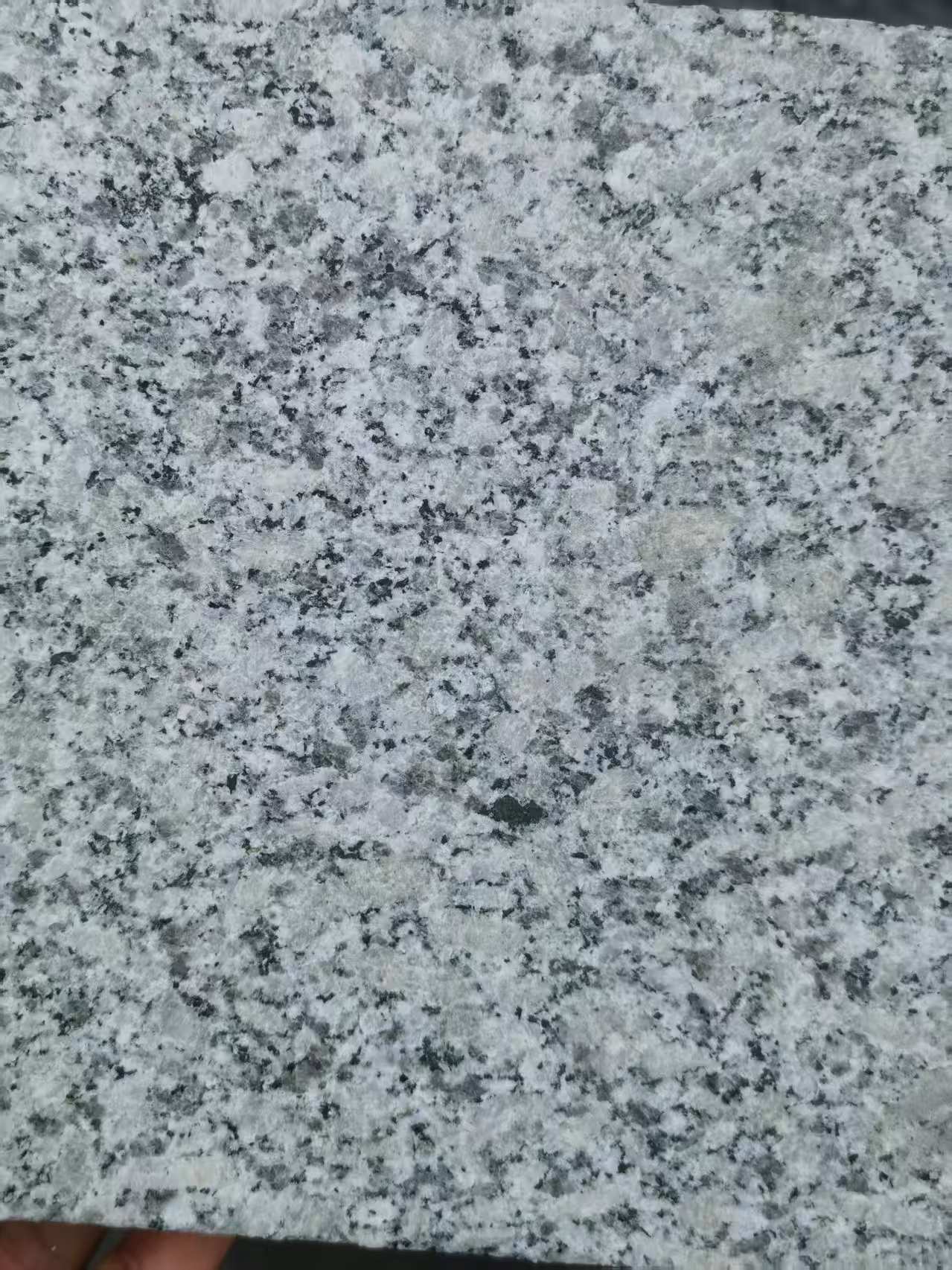 抚顺 芙蓉白火烧面
